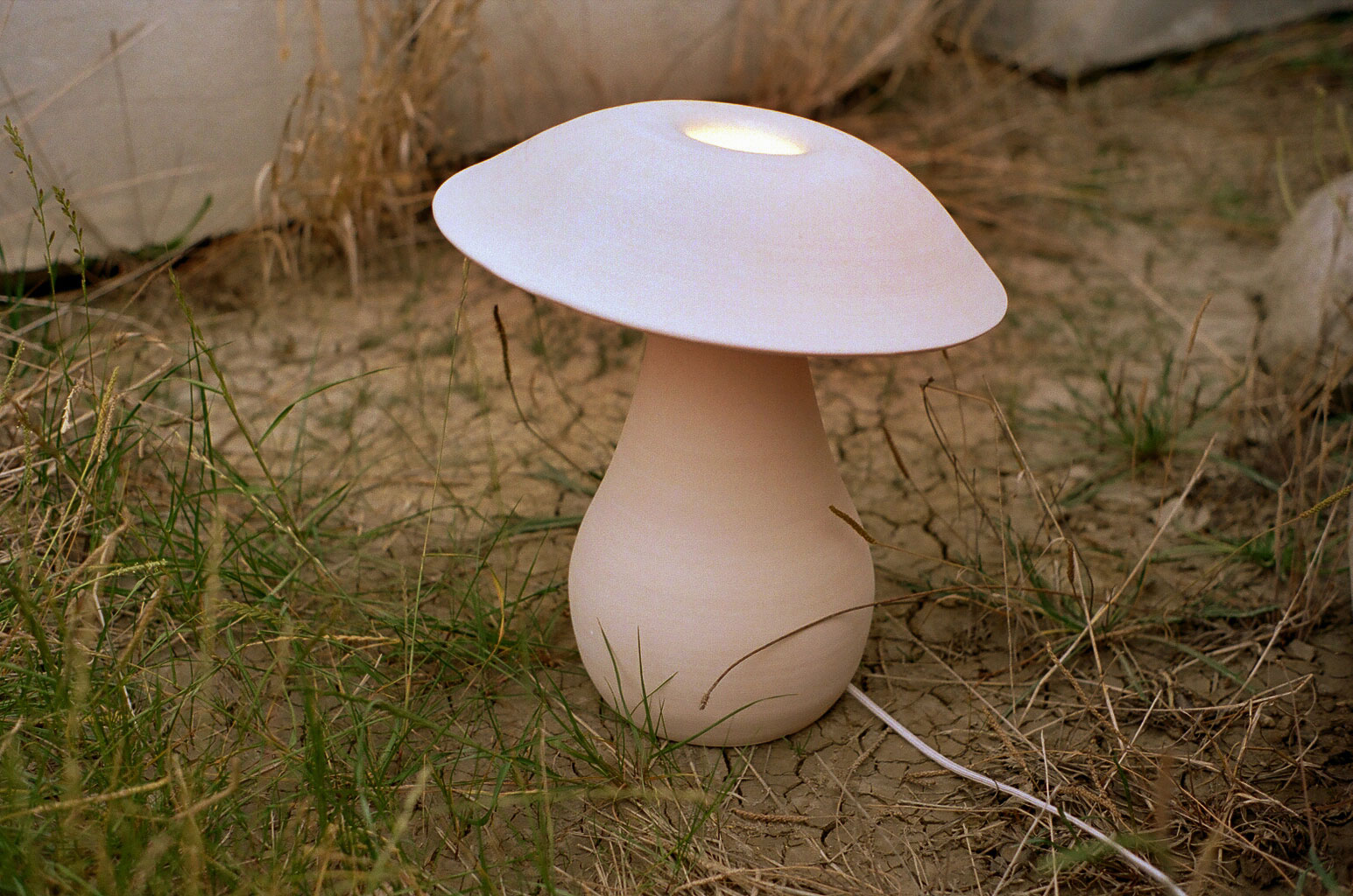 White Mushroom Lamp shot on the ground in the grass