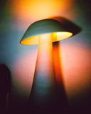 Mushroom Floor Lamp