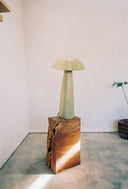 Mushroom Lamp